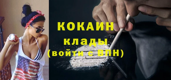 амф Вяземский