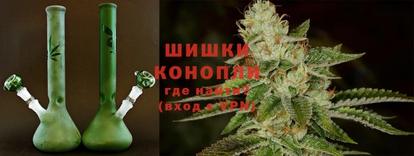 амф Вяземский