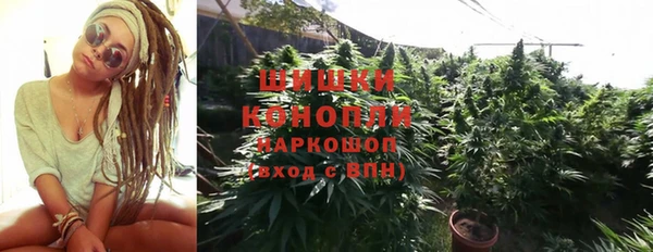 амф Вяземский