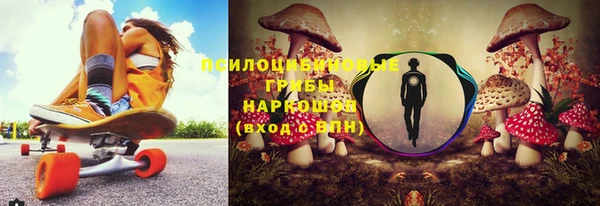 a pvp Гвардейск