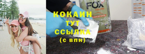 гидра Вязники
