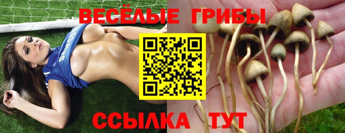 Псилоцибиновые грибы ЛСД Гулькевичи