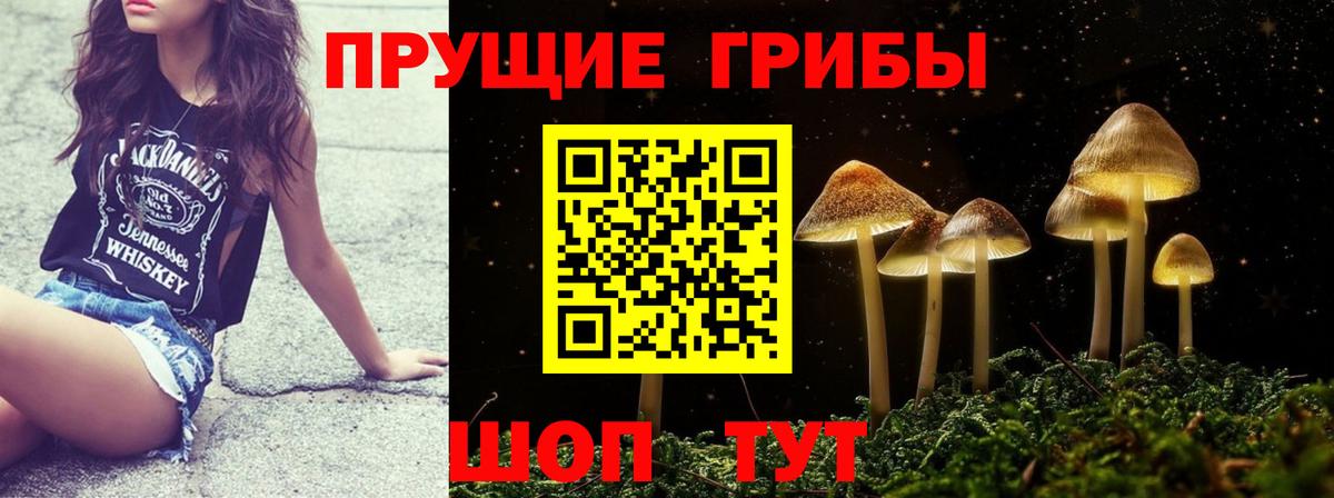 Гулькевичи  купить   Вход с VPN  Галлюциногенные грибы Psilocybe 